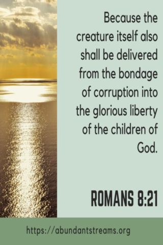 Children of God, FREE from the bondage of corruption